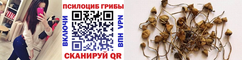 Псилоцибиновые грибы мухоморы  Карабулак 